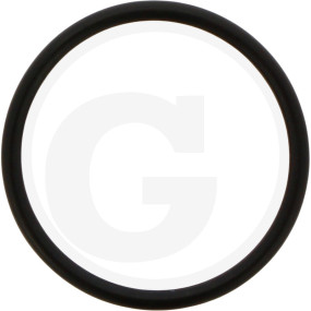 O-Ring Granit