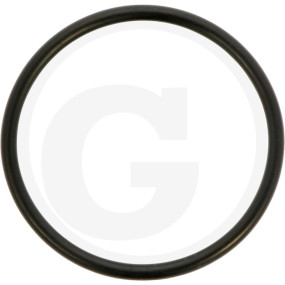 O-Ring Granit