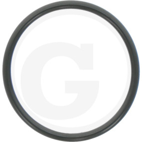 O-Ring Granit