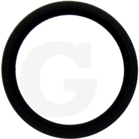 O-Ring 20,5X2,,62 Granit