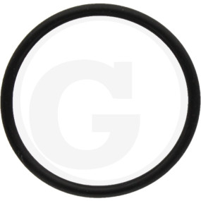 O-Ring Granit