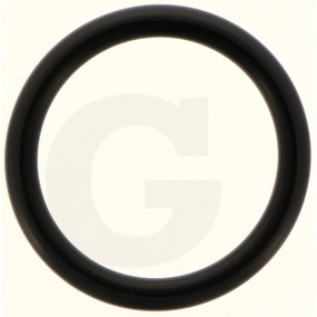 O-Ring 4-Fpm 80 Fw Granit