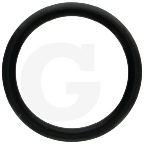 O-Ring 18,3X2,4-Nbr 88 Fw Granit