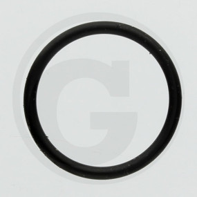 O-Ring R 70-Fwn564 Granit