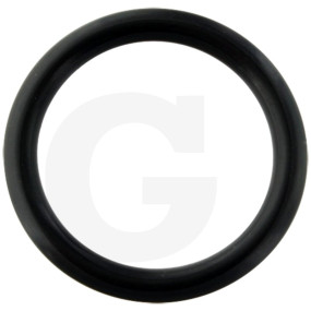 O-Ring 20X3 R 70 Fwn564 Granit