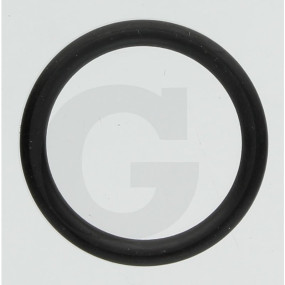 O-Ring Nbr 70-Fwn5 Granit