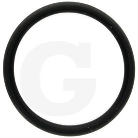O-Ring 4-Nbr 70 Fw Granit