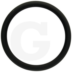 O-Ring R 70 Fwn564 Granit