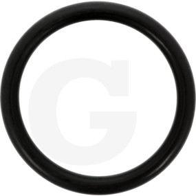 O-Ring R 70 Fwn564 Granit