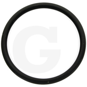 O-Ring R 70 Fwn564 Granit