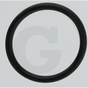 O-Ring 38X4 R 70 Fwn564 Granit