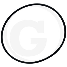 O-Ring Nbr 70-Fwn5 Granit
