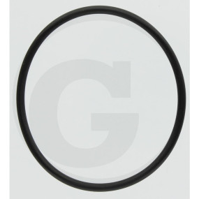 O-Ring 48,9X2,62-Nbr 70-F Granit