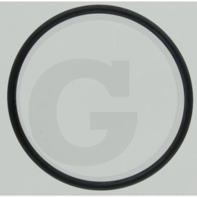 O-Ring R 70 Fwn564 Granit