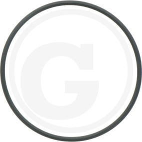 O-Ring R 70 Fwn564 Granit