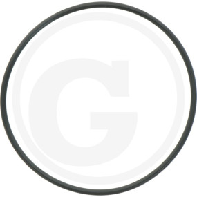 O-Ring R 70 Fwn564 Granit