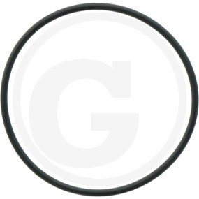 O-Ring R 90 Fwn564 Granit