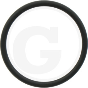 O-Ring Granit