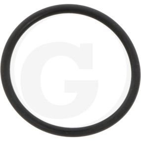O-Ring Granit 190190271