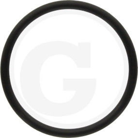 O-Ring Granit