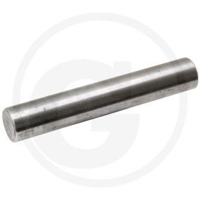Achsschenkelbolzen Typ. T.4 110 Granit 220344F002