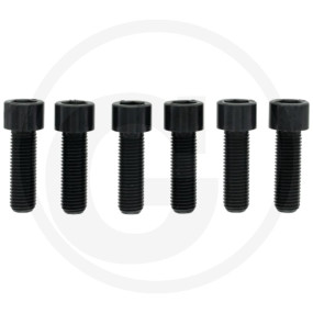 Schraubensatz (6 Stück) Din912 Granit 220890017