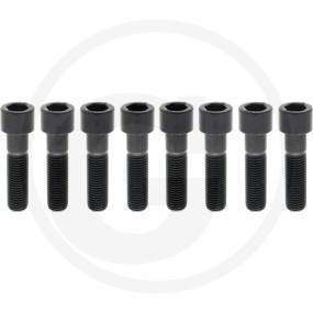 Schraubensatz (8 Stück) Din912 Granit 220890026