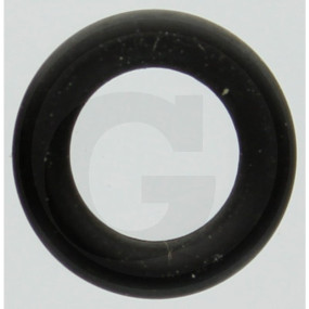O-Ring 6X2 2 83Fkm Granit 2450203600