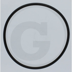 O-Ring 75X3 Granit