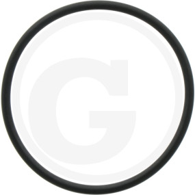 O-Ring 70X4 Viton Granit 2450286600