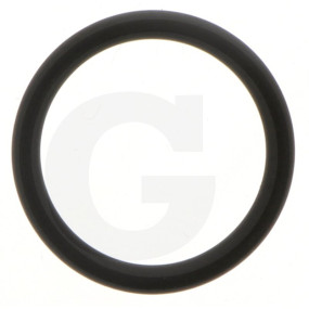O-Ring 2 80Fkm Granit