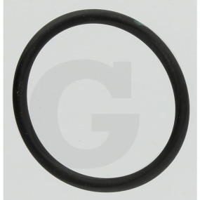 O-Ring 31,0X3 80Fkm Granit