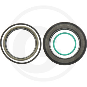 Dichtungssatz für Oms/S/W (Fpm) Granit