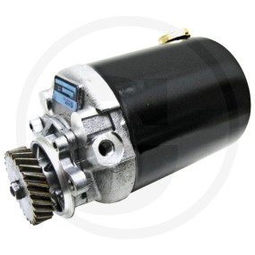 Pumpe, Klein Granit 25917718