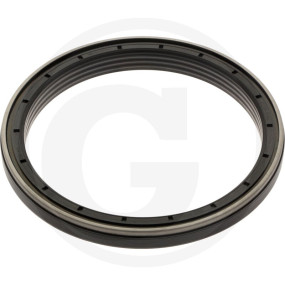 Wellendichtring, Kurbelwelle Granit 3040027307