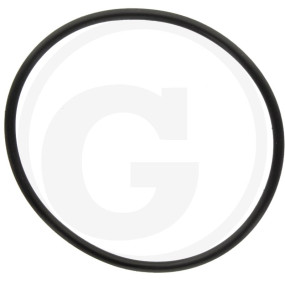 O-Ring 55X2,5 Granit