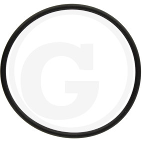 O-Ring 64.5X3 Granit