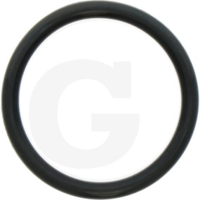 O-Ring Granit