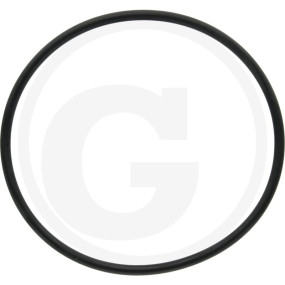 O-Ring Granit