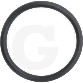 O-Ring Granit