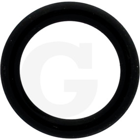 O-Ring Granit 380002161
