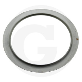 Kurbelwellendichtring Vorne Granit 380002168