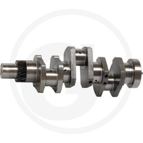 Kurbelwelle Granit 380002315