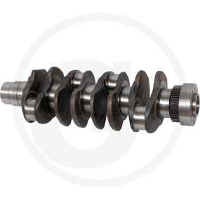 Kurbelwelle Granit 380020028