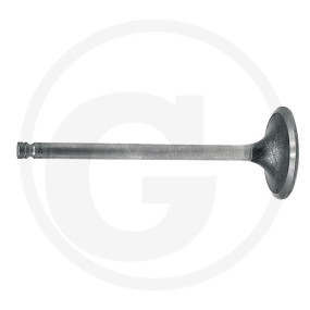 Einlassventil Granit 38002244