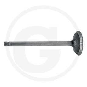Auslassventil Granit 38002245