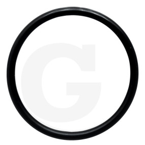 O-Ring Granit 38002776