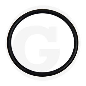 O-Ring Granit 38002778