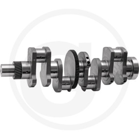 Kurbelwelle Granit 38002951