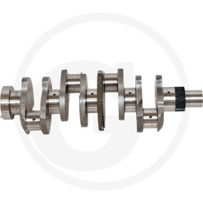 Kurbelwelle Granit 38002954